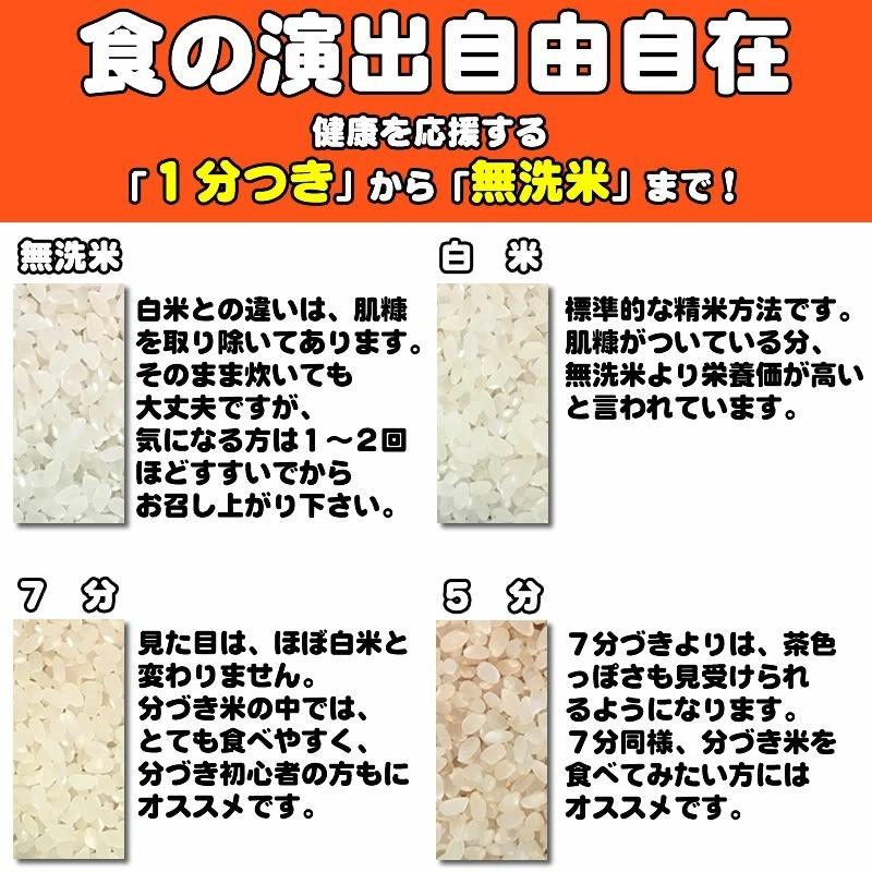 ポイント消化 お米 送料無料 あきたこまち 150g (1合) 令和5年産 山形県産 白米 無洗米 分づき 玄米 当日精米 真空パック メール便 450円 YP｜miuranouen｜14