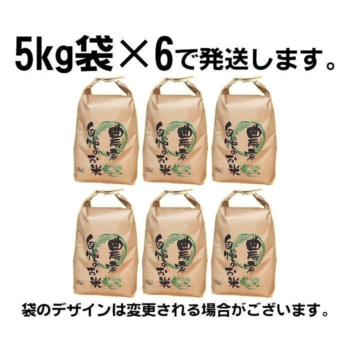 米 お米 5kg&times;6 あきたこまち 玄米30kg 令和6年産 山形産 白米・無洗米・分づきにお好み精米 送料無料 当日精米
