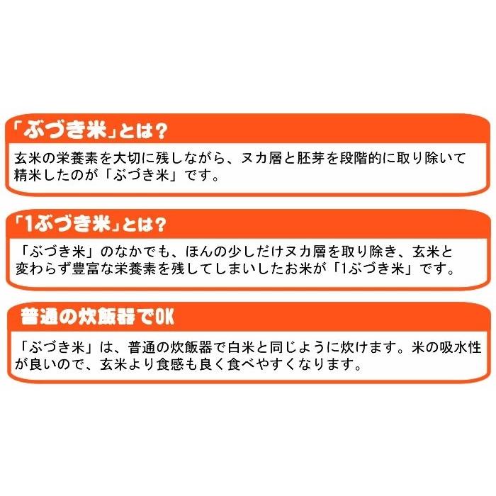 ポイント消化 お米 送料無料 お試しあきたこまち 750g (5合) 令和5年産 山形県産 白米 無洗米 分づき 玄米 当日精米 真空パック メール便 700円 YP｜miuranouen｜15