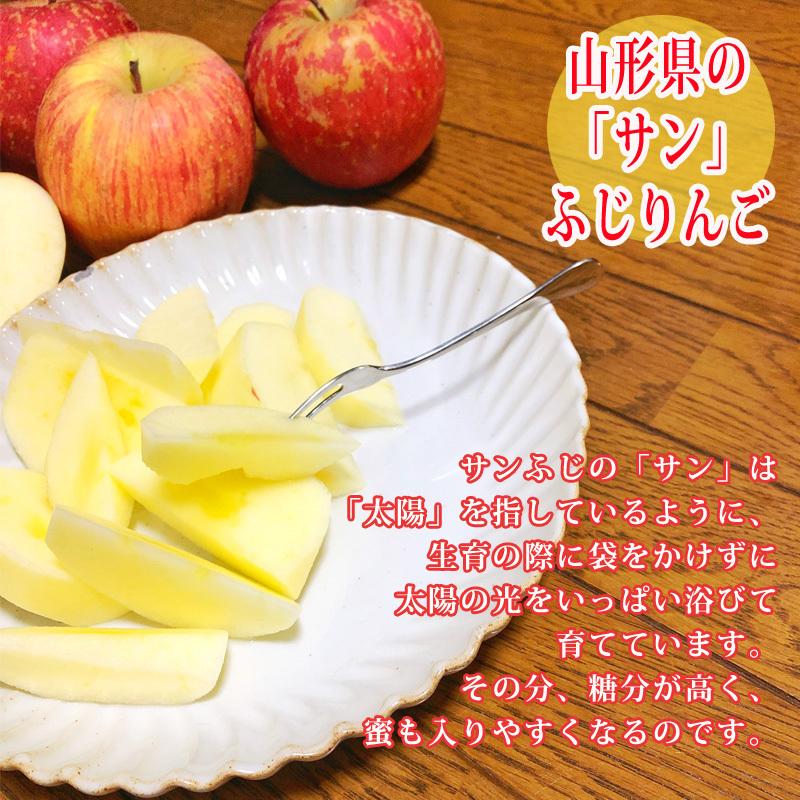 予約販売12月上旬よりご予約発送 訳あり りんご サンふじ 10kg 送料無料 山形県産 無選別 26~55玉 [ご家庭用りんご１０キロ] |  | 06