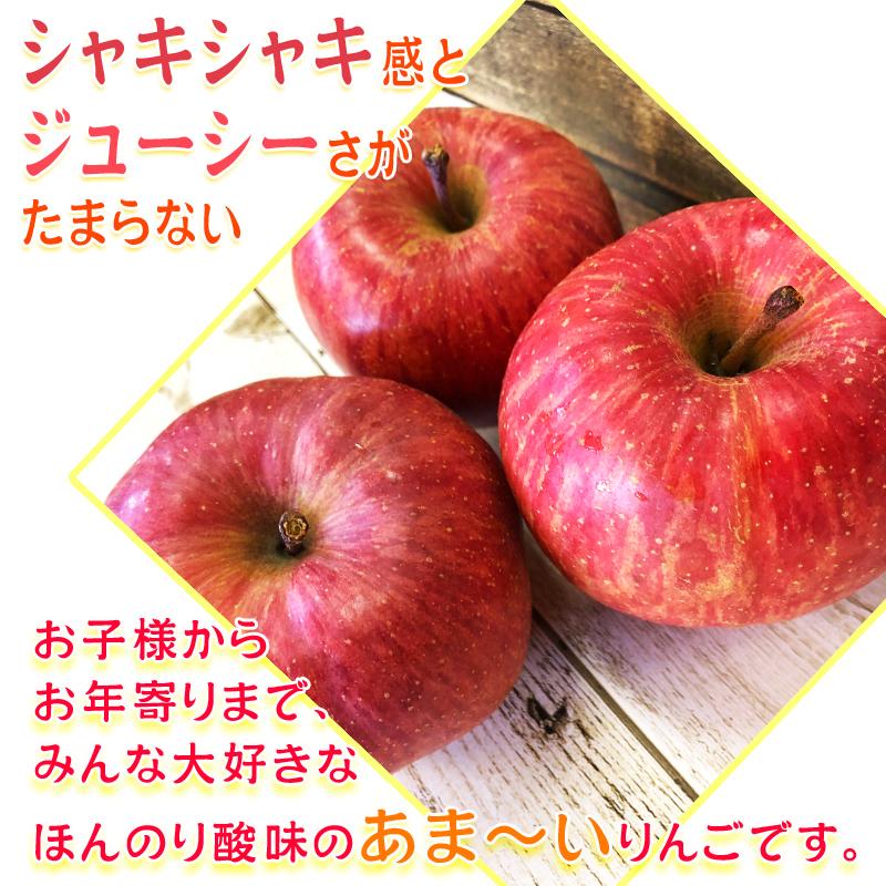 予約販売 訳あり りんご サンふじ シナノゴールド 王林 ミックス 10kg 送料無料 山形県産 26~55玉 [ご家庭用ミックスりんご１０キロ] |  | 02