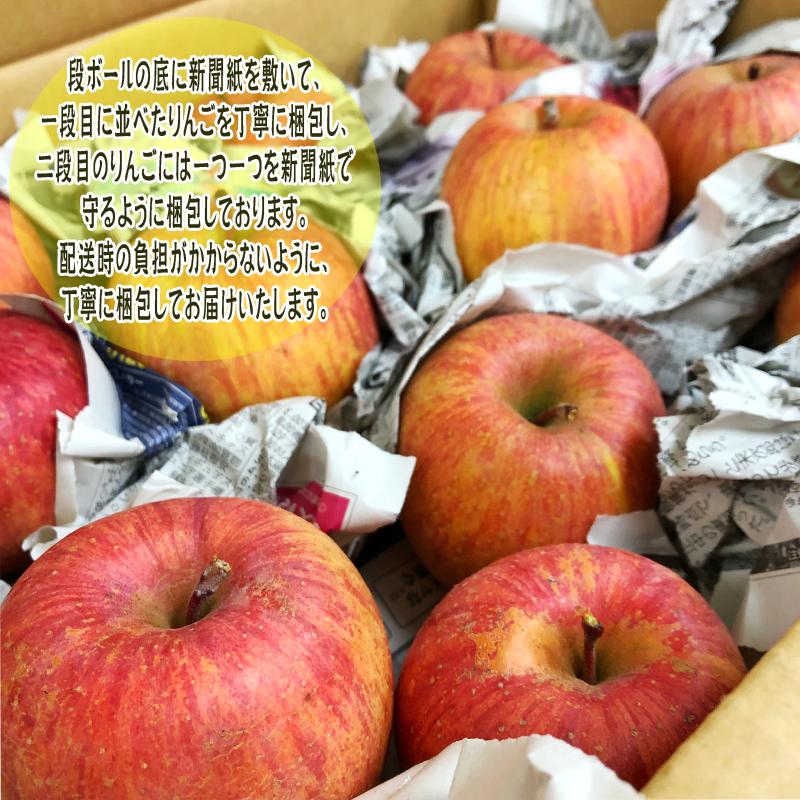 訳あり りんご サンふじ 5kg 送料無料 山形県産 無選別 [ご家庭用りんご５キロ] |  | 04