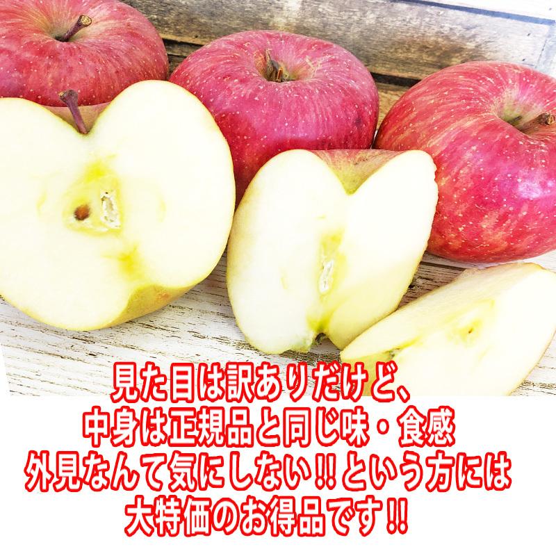 訳あり りんご サンふじ 5kg 送料無料 山形県産 無選別 [ご家庭用りんご５キロ] |  | 05