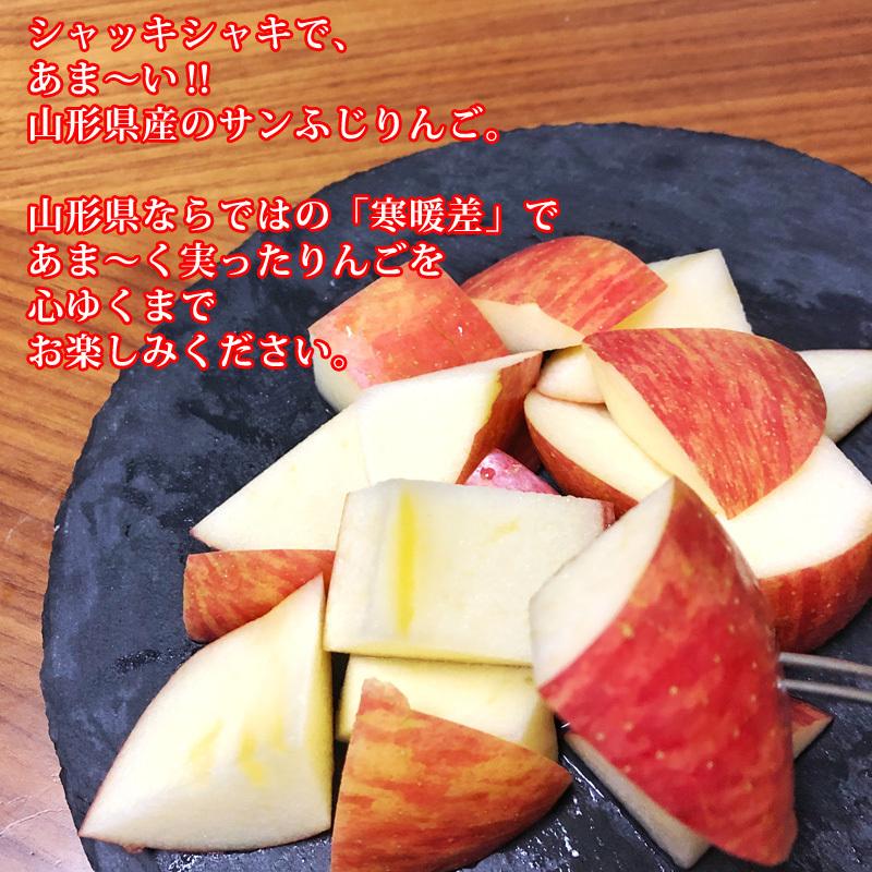 訳あり りんご サンふじ 5kg 送料無料 山形県産 無選別 [ご家庭用りんご５キロ] |  | 07