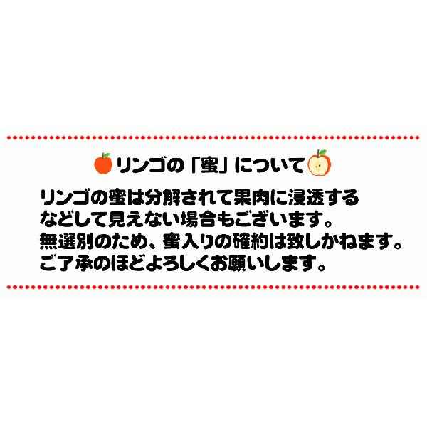 予約販売 秀品 ギフト お歳暮 送料無料 山形県産 りんご サンふじ 3kg 10〜12玉 [秀品りんご３キロキャップ入り] |  | 03