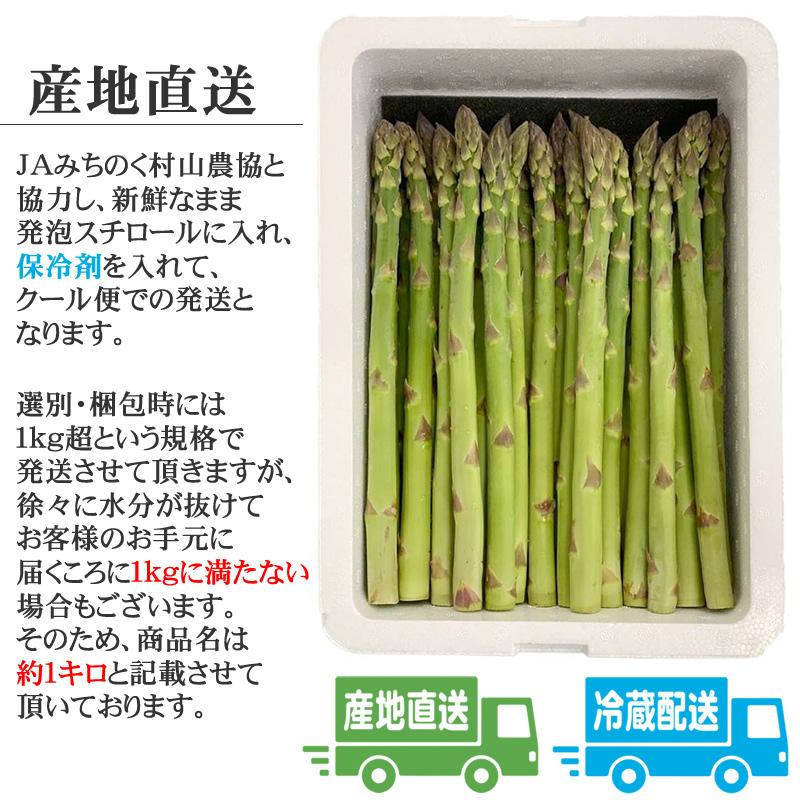 食品 山形県産 菊芋チップス 1.2kg(120g×10袋) 山菜 野菜 乾燥野菜