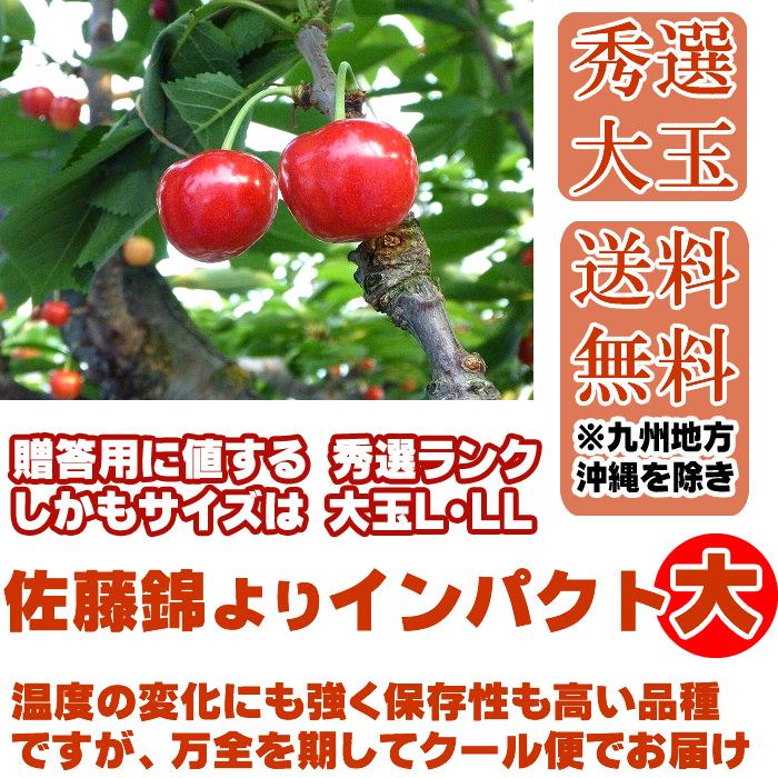 6月中旬より順次発送 さくらんぼ 紅秀峰 秀品 バラ詰め L・LL 1kg 山形