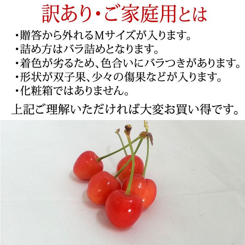 予約販売 6月上旬より順次発送 さくらんぼ 訳あり ご家庭用 佐藤錦