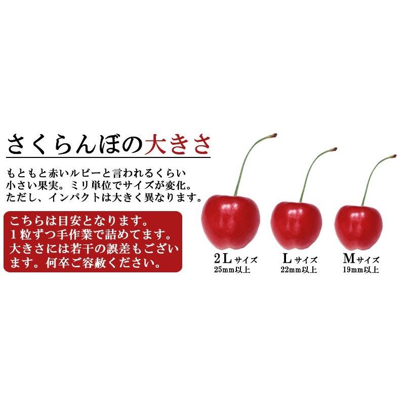さくらんぼ 訳あり ご家庭用 佐藤錦 700g 山形県産 [サクランボ ご家庭