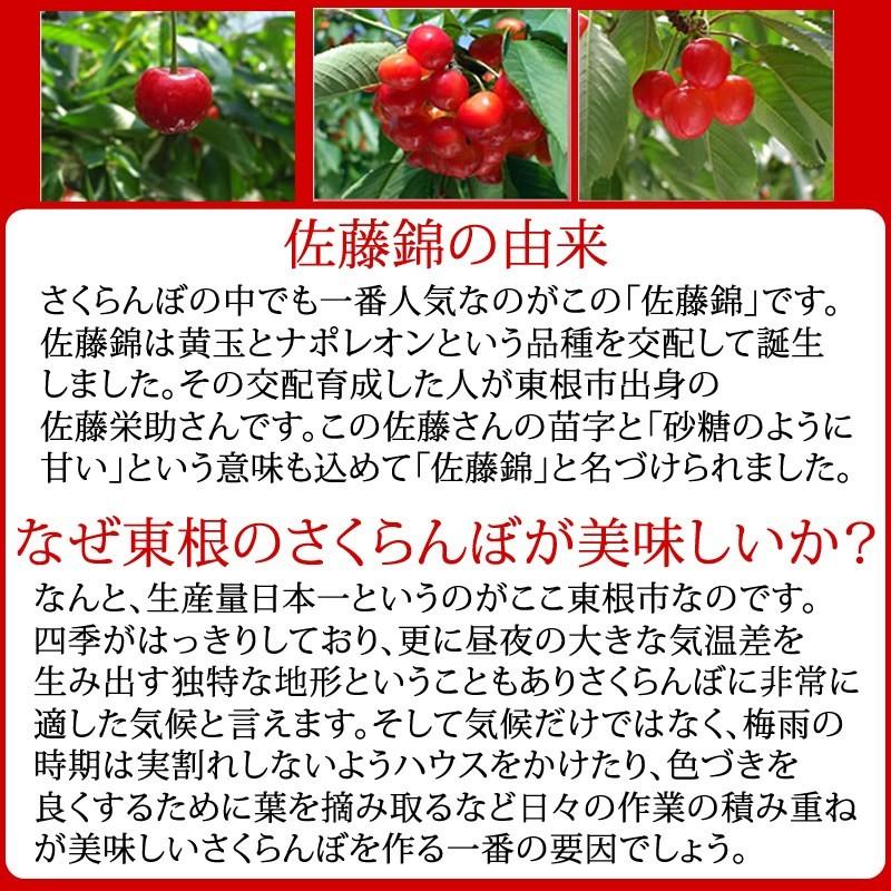 予約販売 6月上旬より順次発送 さくらんぼ 訳あり ご家庭用 佐藤錦 1kg