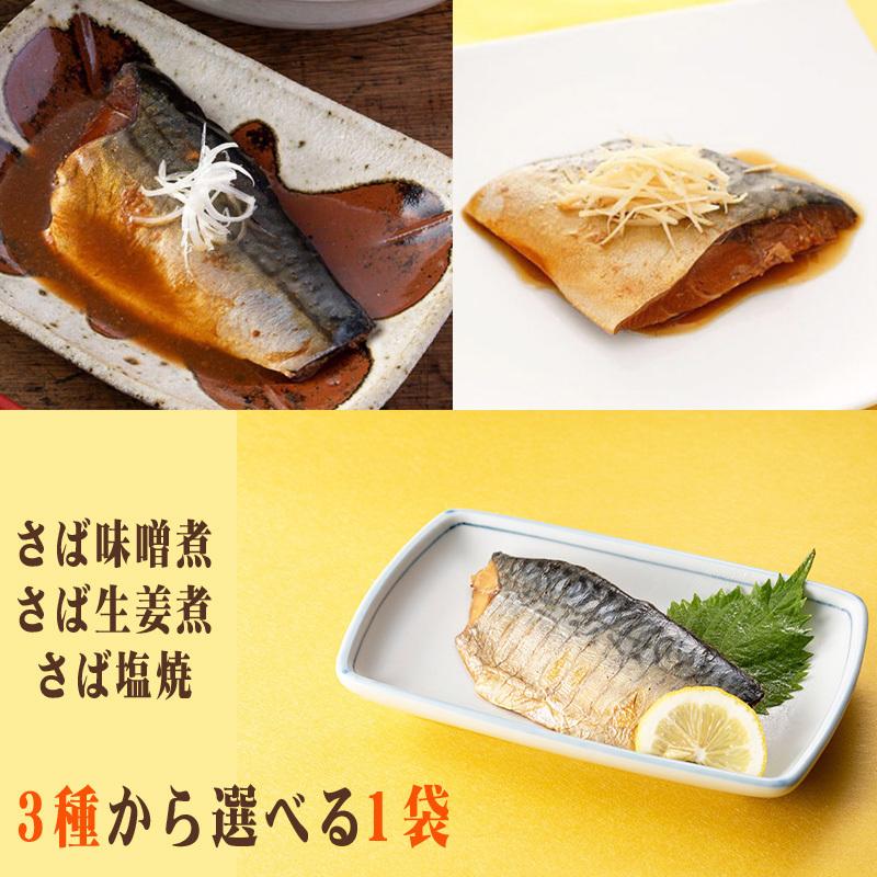別倉庫からの配送 在庫処分 賞味期限間近 さば 国産 味噌煮 生姜煮 塩焼き 3種から選べる1袋 送料無料 メール便 ゆうパケ 訳あり 選べるさば 1袋 山徳平塚 450円 Whitesforracialequity Org