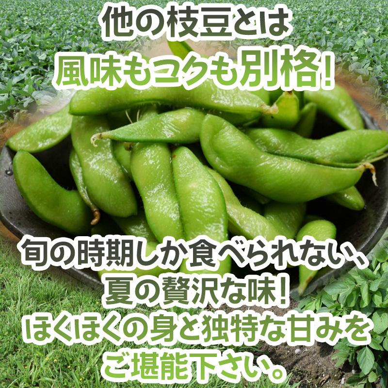 予約販売】だだちゃ豆 山形県鶴岡市産 バラ 秀品 5キロ 8月上旬〜9月