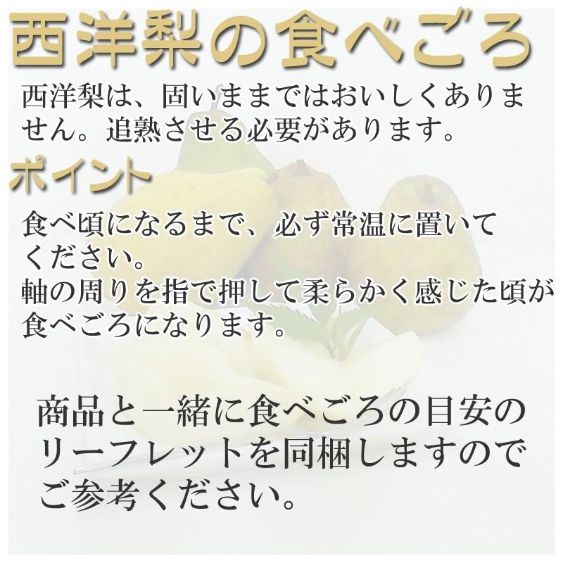 西洋梨 エルドラド3kg・希少品種・香りの貴公子 ポイント10倍 山形県産東根市産 [エルドラド３キロ]｜miuranouen｜03