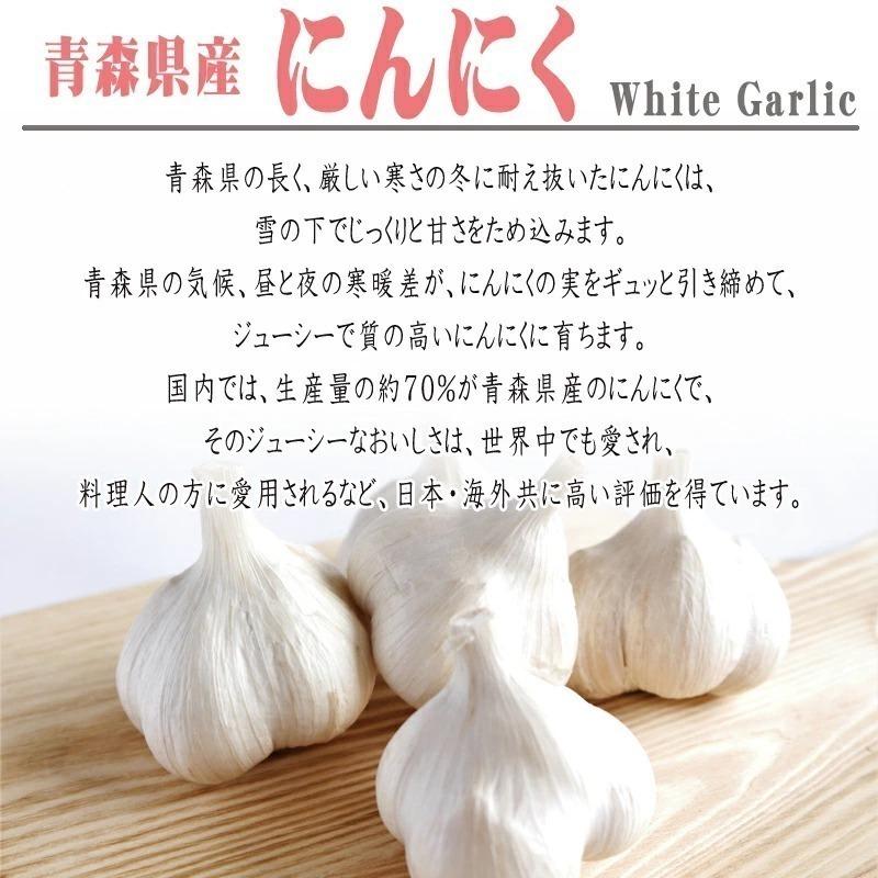 にんにくパウダー 合計1kg 粉末 青森県産 国産 [にんにくパウダー５０袋] ガーリック送料無料 即送 置き配可_1