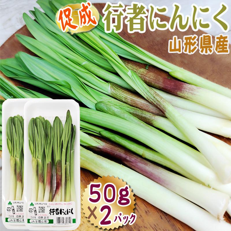 山形県産 促成 山菜 行者にんにく 100g (50g×2パック) 送料無料 クール