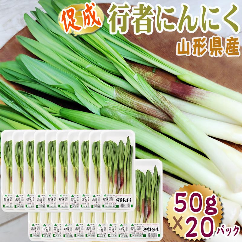 山形県産 促成 山菜 行者にんにく 1kg (50g×20パック) 送料無料 クール