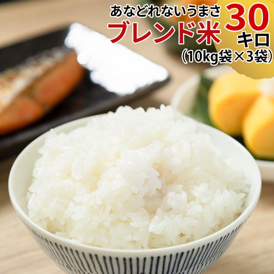 食品 無洗米加工 令和2年 埼玉県産 検査米1等級 新米