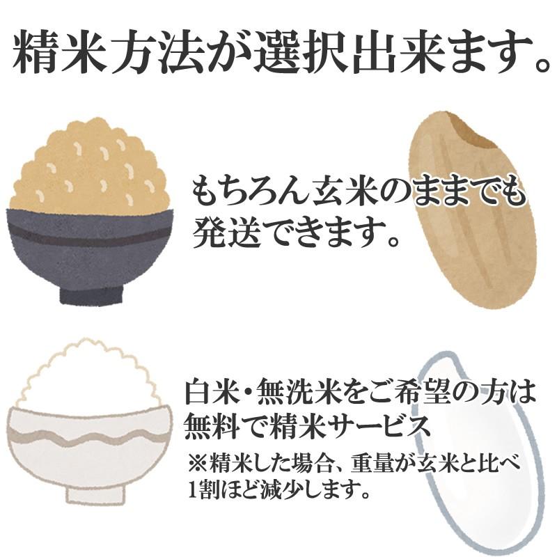 米 ブレンド 玄米30kg 白米 27kg 無洗米 (30kg袋×1) 国産 送料無料