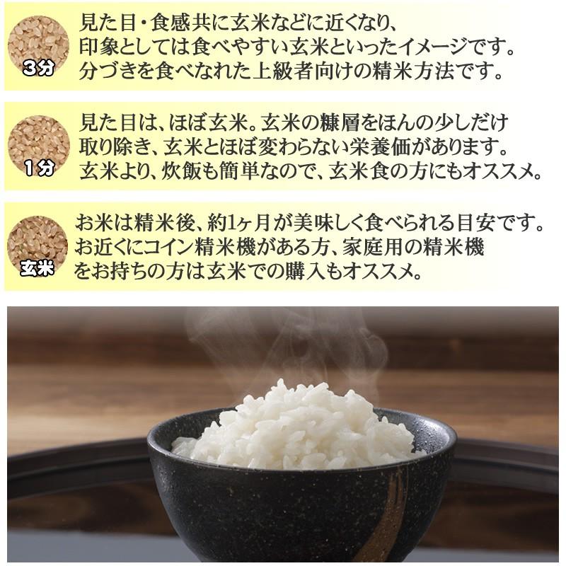 令和5年産 米 お米 5kg×4 はえぬき 玄米20kg 山形産 白米・無洗米・分づきにお好み精米 送料無料 当日精米｜miuranouen｜16