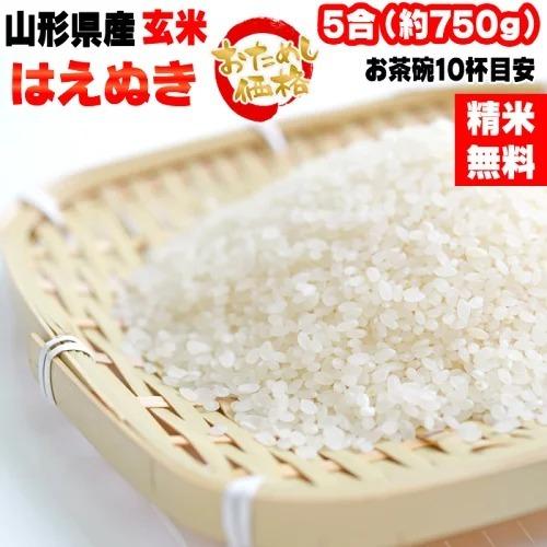 はえぬき 米 お米 送料無料 750g (5合) 令和7年産 山形県産 白米 無