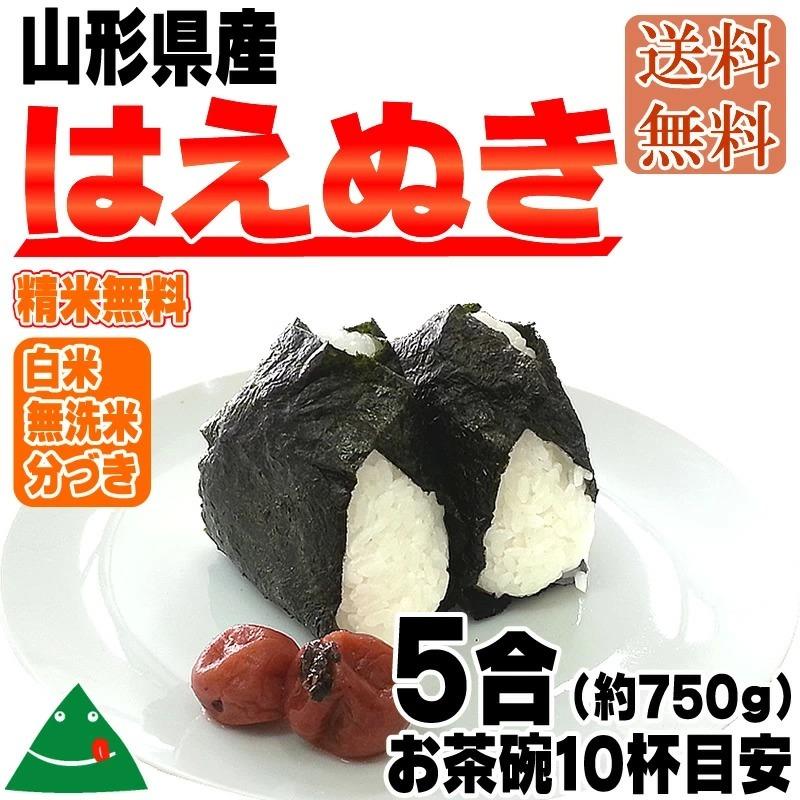 はえぬき 米 お米 送料無料 750g (5合) 令和7年産 山形県産 白米 無