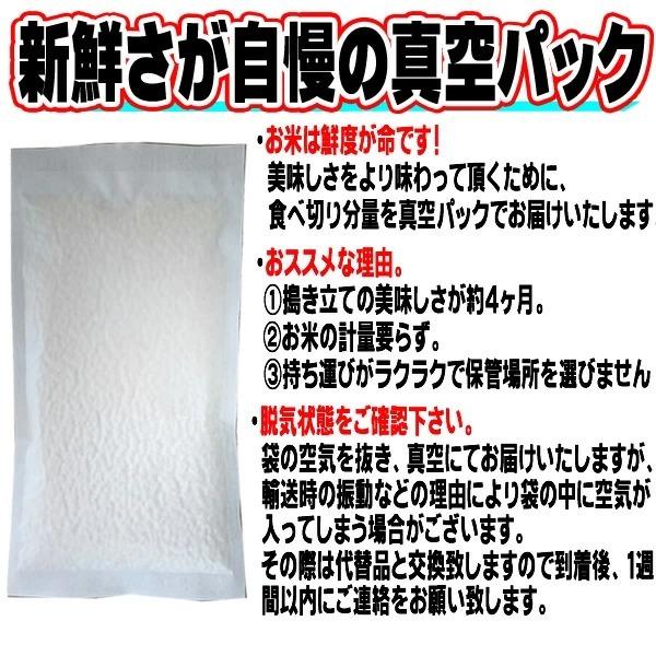 はえぬき 米 お米 送料無料 750g (5合) 令和7年産 山形県産 白米 無