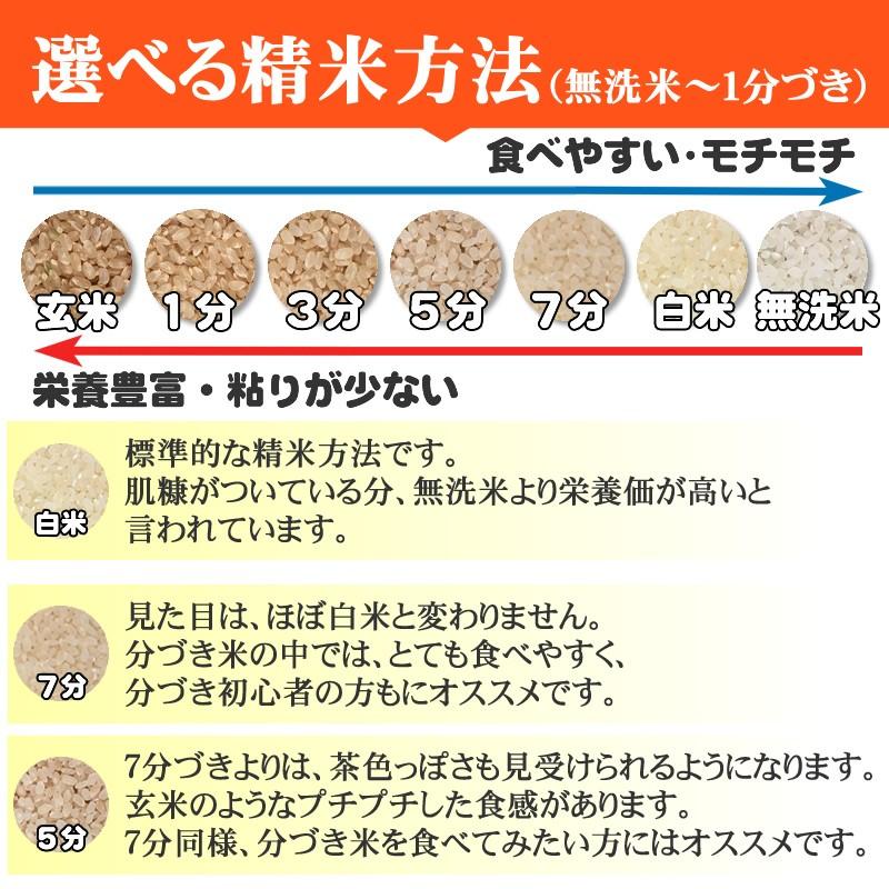 令和5年産 米 お米 5kg×2 はえぬき 玄米10kg 山形産 白米・無洗米・分づきにお好み精米 送料無料 当日精米｜miuranouen｜14