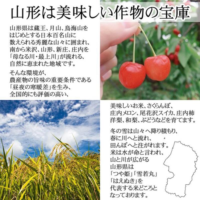 米 玄米 10kg ヒメノモチ 5kg×2袋 令和7年産 山形県産 もち米 ひめの