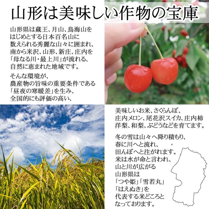 ひとめぼれ 米 お米 5kg×6 玄米30kg 令和7年産 山形産 白米・無洗米