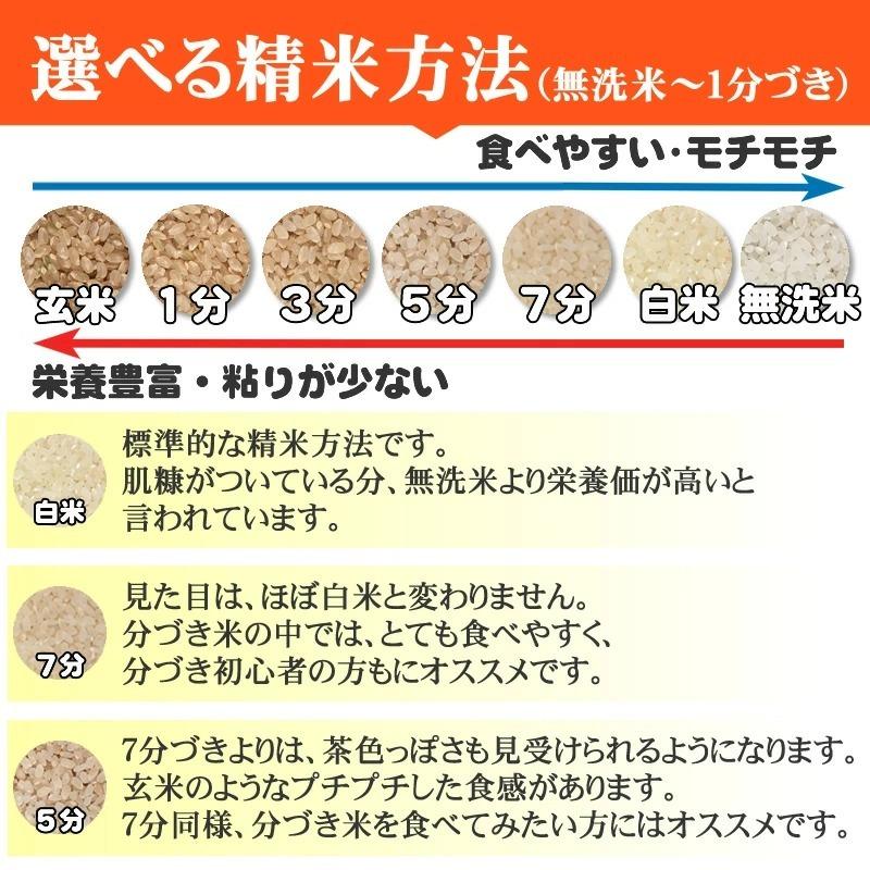 ポイント消化 米 お米 送料無料 ひとめぼれ 750g (5合) 令和5年産 山形県産 白米 無洗米 分づき 玄米 当日精米 真空パック メール便 700円 YP｜miuranouen｜14