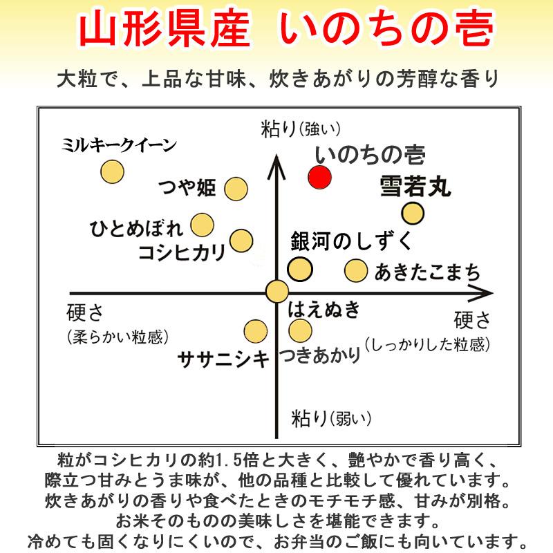 米 玄米 30kg いのちの壱 30kg×1袋 令和4年産 山形県産 精米無料 白米