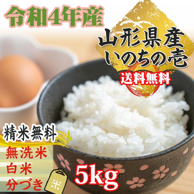 米 玄米 5kg いのちの壱 令和4年産 山形県産 精米無料 白米 無洗米 分