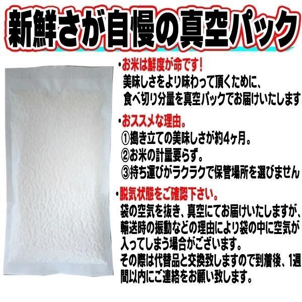 ポイント消化 米 お米 送料無料 銀河のしずく 300g (2合) 令和7年産