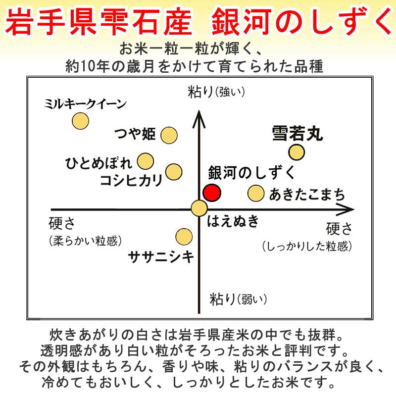 ポイント消化 米 お米 送料無料 銀河のしずく 450g (3合) 令和7年産