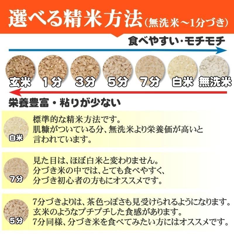 ポイント消化 米 お米 送料無料 銀河のしずく 450g (3合) 令和4年産 岩手県産 白米 無洗米 分づき 玄米 当日精米 真空パック メール便 YP｜miuranouen｜13