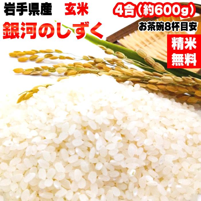 ポイント消化 米 お米 送料無料 銀河のしずく 600g (4合) 令和7年産