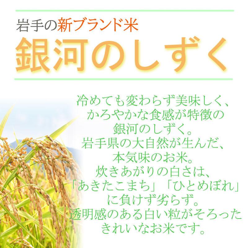 米 お米 5kg×6 銀河のしずく 玄米30kg 令和7年産 岩手県産 白米・無