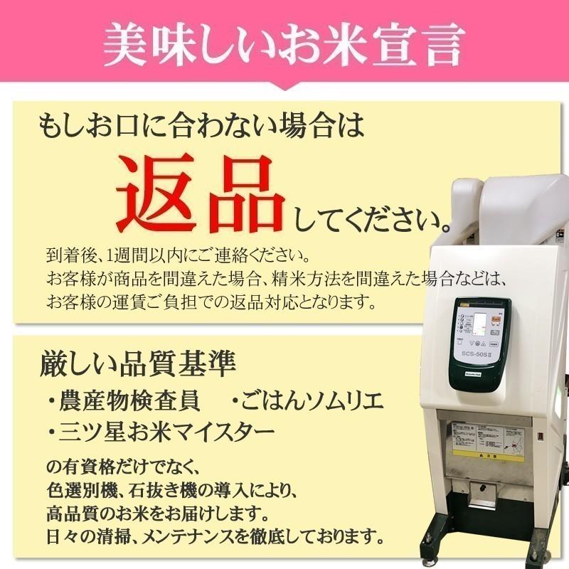 米 お米 5kg×6 銀河のしずく 玄米30kg 令和7年産 岩手県産 白米・無