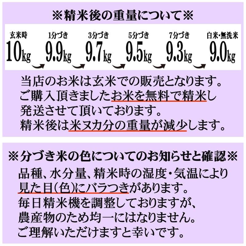 ひとめぼれ 米 玄米 2kg 令和6年産 岩手県産 精米無料 白米 無 ひとめぼれ 米 玄米 2kg 令和6年産 岩手県産 精米無料 白米 無