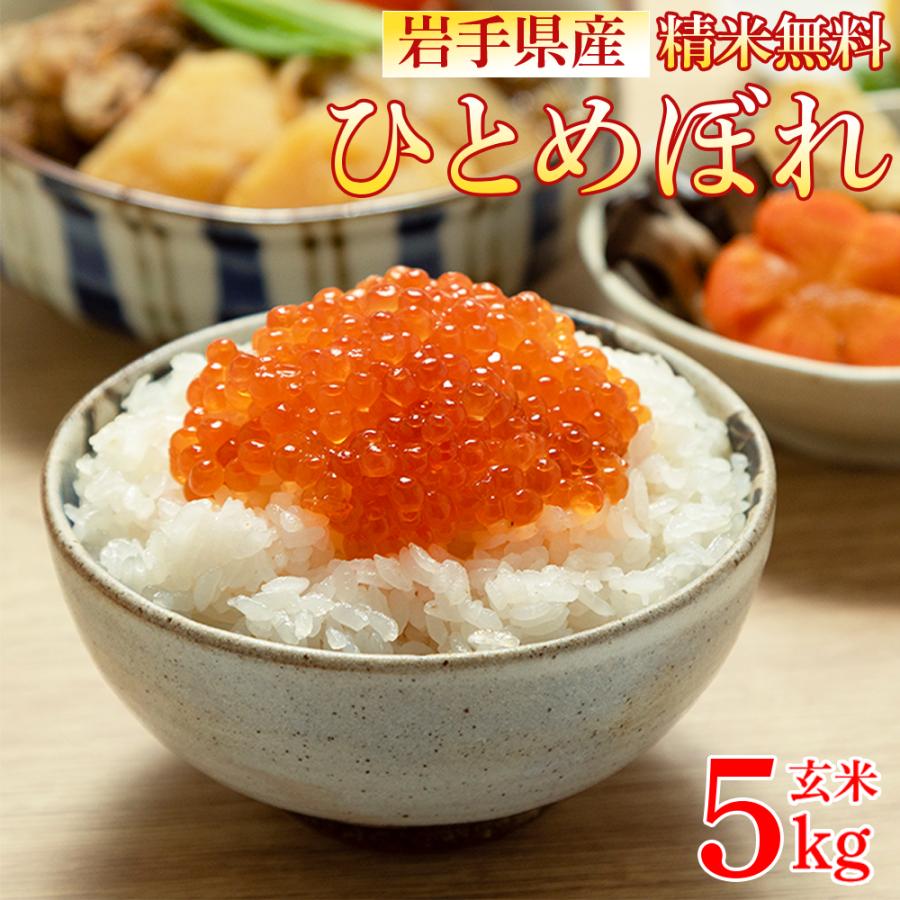 ひとめぼれ 米 玄米 20kg 5kg×4袋 令和7年産 岩手県産 精米無料 白米