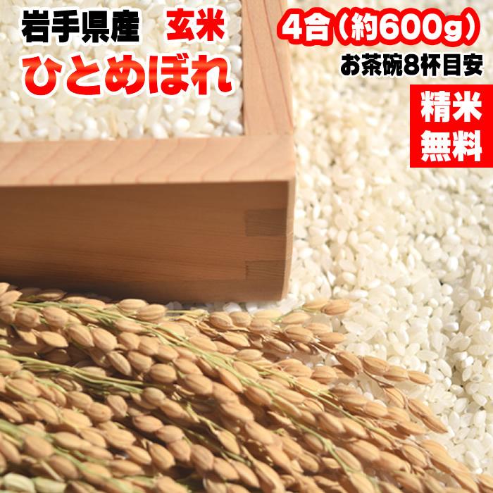 ひとめぼれ 米 お米 600g 4合 令和7年産 岩手県産 白米 無洗米 分づき