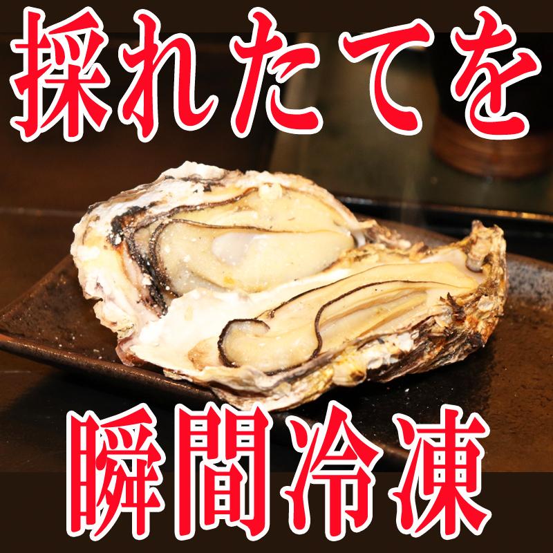 牡蠣 瞬間冷凍 レンジでチン 国産 宮城県産 1 2kg 28個入り 300g 4パック 蒸し牡蠣 冷凍 お取り寄せ 送料無料 殻付き 宮城県産生牡蠣4袋 Ship Sd Kaki 10g 東北の農産特産品アグリパートナー 通販 Yahoo ショッピング