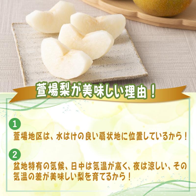 予約販売 訳あり 梨 豊水 5kg 18玉〜25玉入り 萱場梨 福島県産 9月中旬 