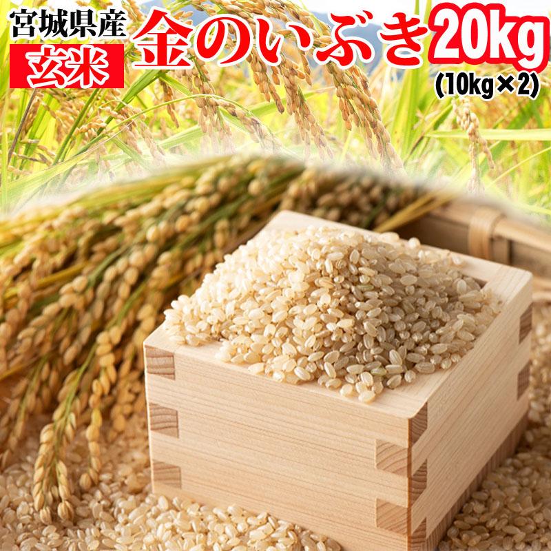 米 玄米 20kg (10kg×2袋) 金のいぶき 令和6年産 宮城県産 送料無料 