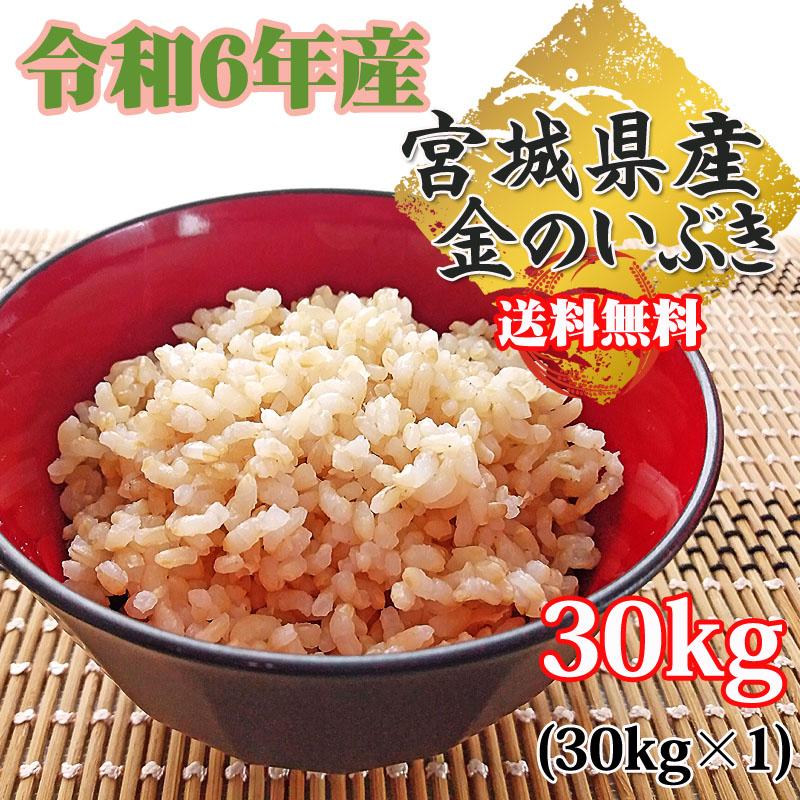 米 玄米 30kg (30kg×1袋) 金のいぶき 令和6年産 宮城県産 送料 米 玄米 30kg (30kg×1袋) 金のいぶき 令和6年産 宮城県産 送料