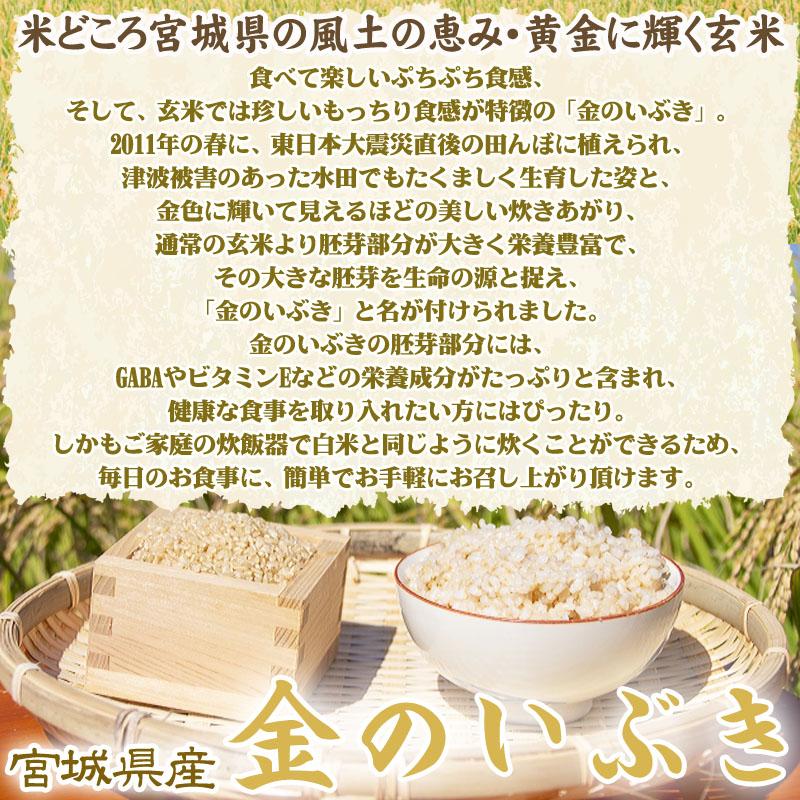 米 玄米 30kg (30kg×1袋) 金のいぶき 令和6年産 宮城県産 送料 米 玄米 30kg (30kg×1袋) 金のいぶき 令和6年産 宮城県産 送料