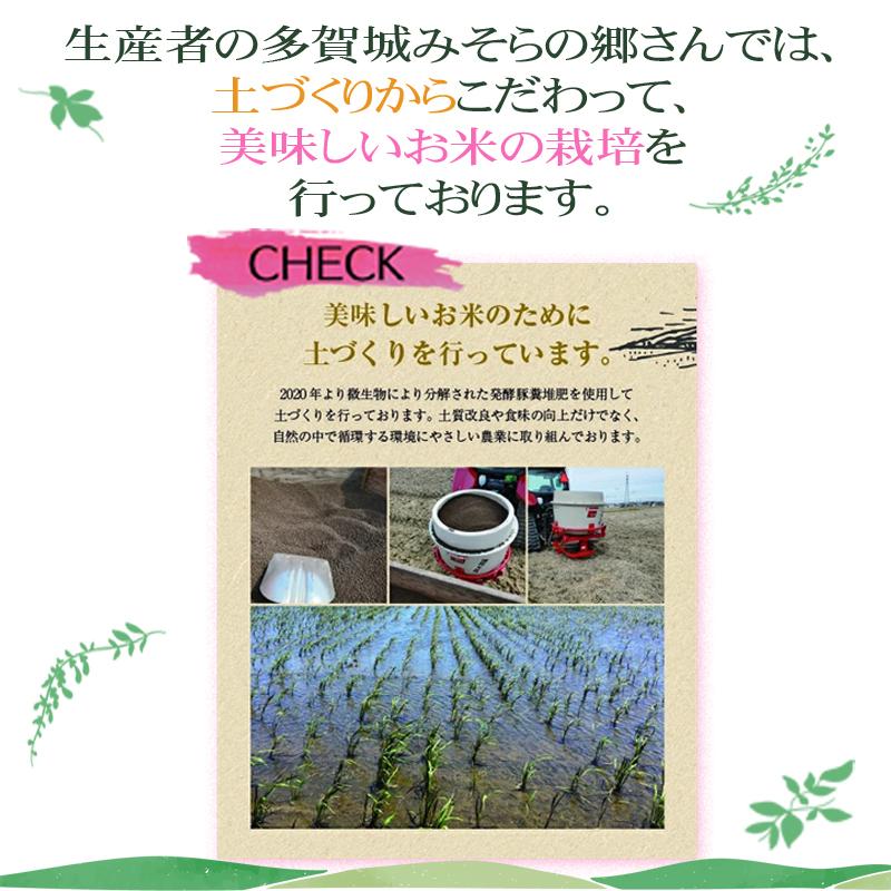 宮城県産 古代米 3種ミックス 800g 黒米 緑米 赤米 送料無料 メール便