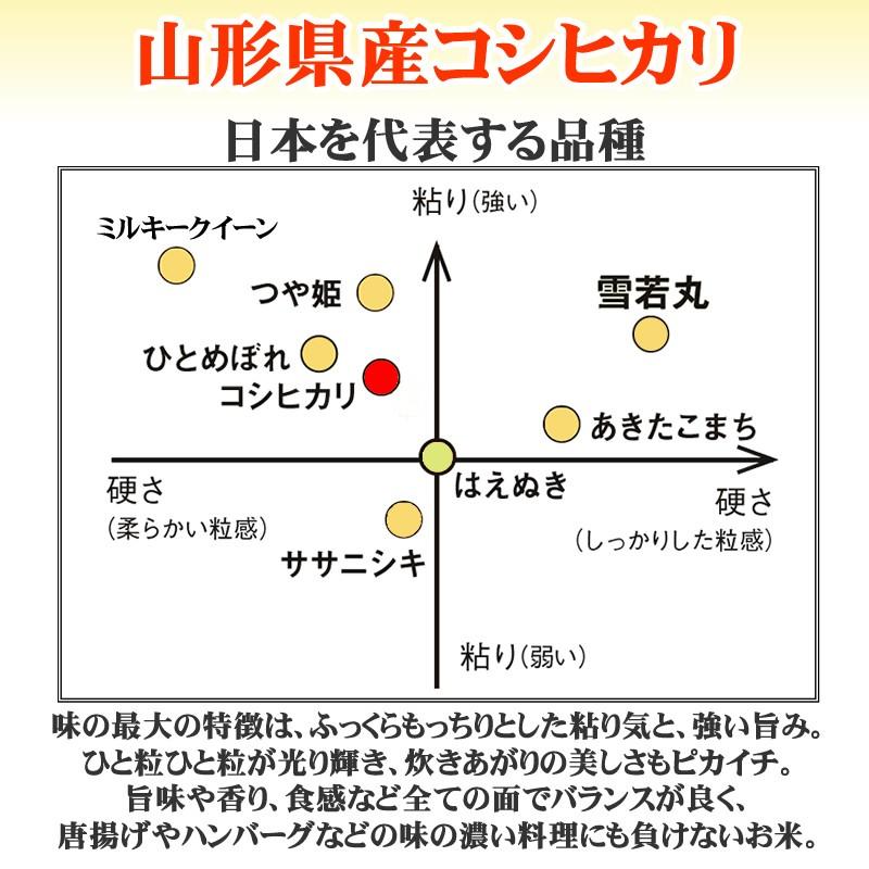 コシヒカリ 米 お米 玄米20kg 10kg×2袋 令和4年産 山形産 白米・無洗米・分づきにお好み精米 送料無料 当日精米｜miuranouen｜12