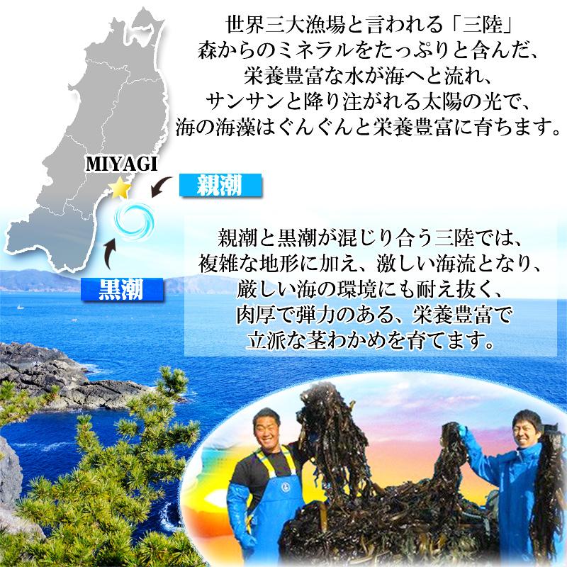 茎わかめ 300g 宮城県 三陸産 理由あり湯通し塩蔵元付茎若布 無添加 無着色 チャック付袋 メール便 YP 送料無料 [茎わかめ300g L2] 即送｜miuranouen｜02