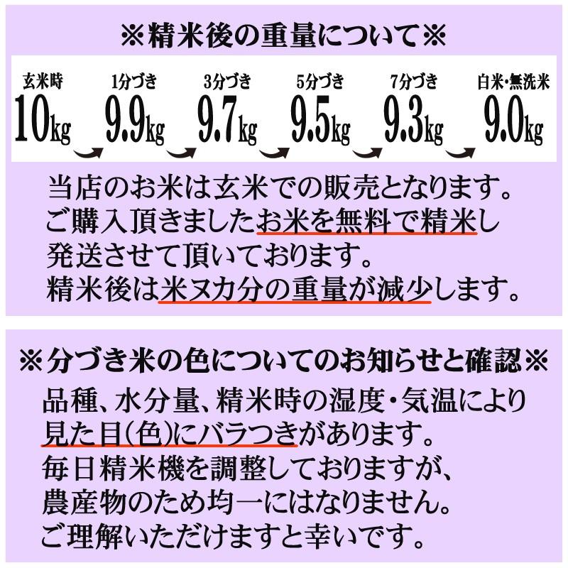 米 お米 5kg×2 ミルキークイーン 玄米10kg 令和7年産 山形産 白米・無洗米・分づきにお好み精米 送料無料 当日精米 | ミルキークイーン | 17